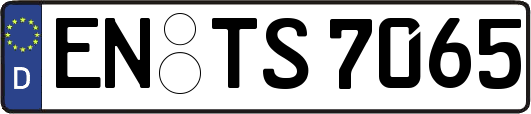 EN-TS7065