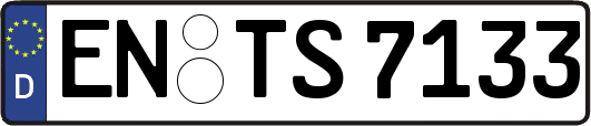 EN-TS7133
