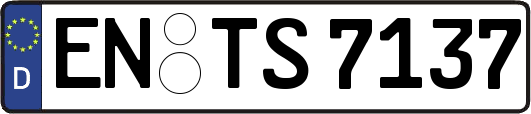 EN-TS7137