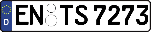 EN-TS7273