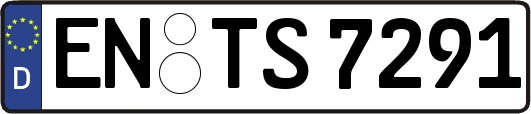 EN-TS7291