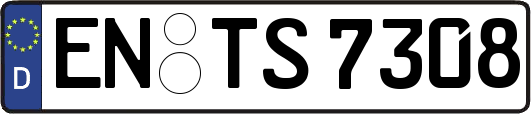 EN-TS7308
