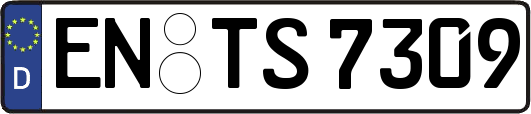 EN-TS7309