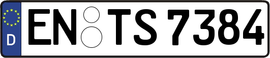 EN-TS7384