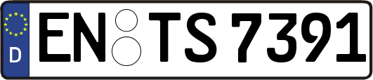 EN-TS7391