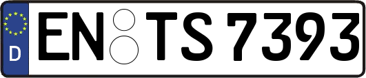 EN-TS7393