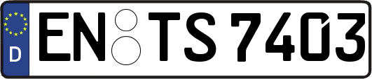 EN-TS7403