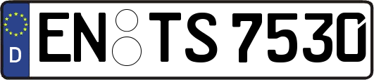 EN-TS7530