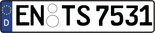 EN-TS7531