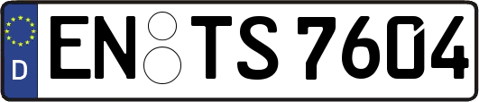 EN-TS7604