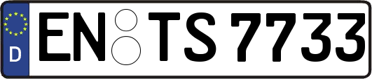 EN-TS7733