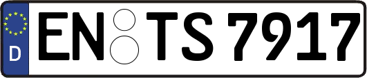 EN-TS7917