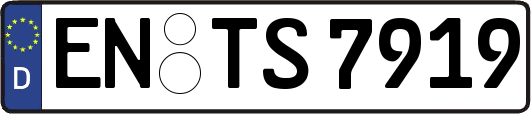 EN-TS7919