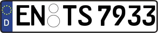 EN-TS7933