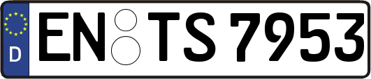 EN-TS7953