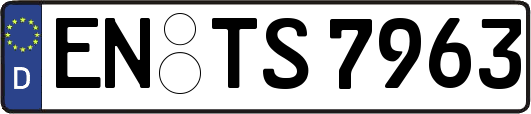 EN-TS7963