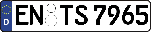 EN-TS7965