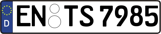 EN-TS7985