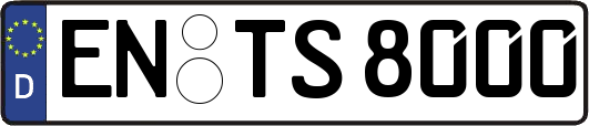 EN-TS8000