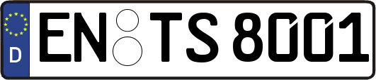 EN-TS8001