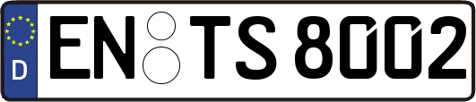 EN-TS8002