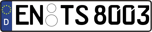 EN-TS8003