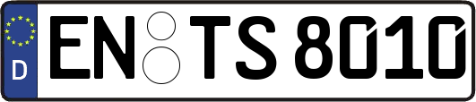 EN-TS8010