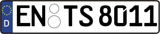 EN-TS8011