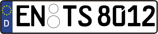 EN-TS8012