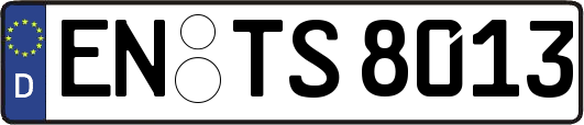EN-TS8013