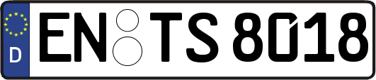 EN-TS8018