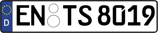 EN-TS8019
