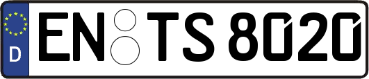 EN-TS8020