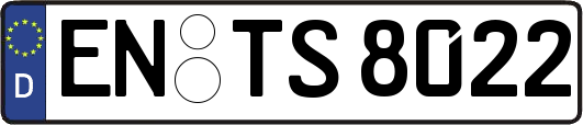 EN-TS8022