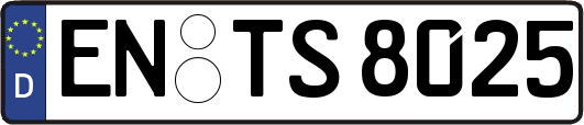 EN-TS8025
