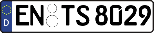 EN-TS8029