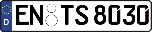 EN-TS8030