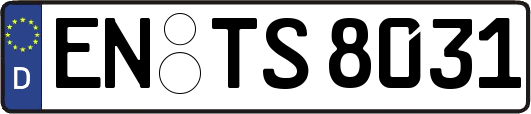 EN-TS8031