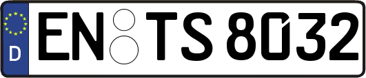 EN-TS8032