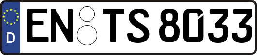 EN-TS8033