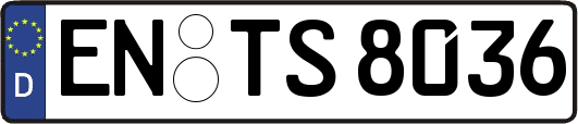 EN-TS8036