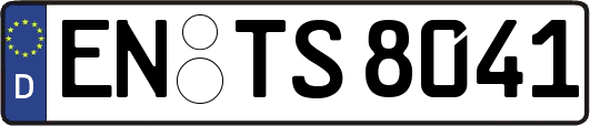 EN-TS8041