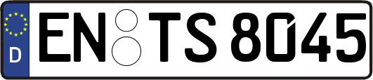 EN-TS8045