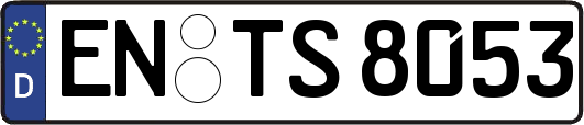 EN-TS8053