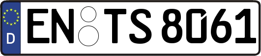 EN-TS8061
