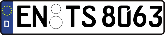 EN-TS8063