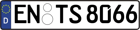 EN-TS8066