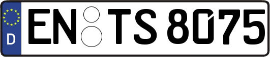 EN-TS8075