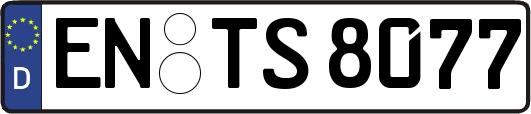EN-TS8077