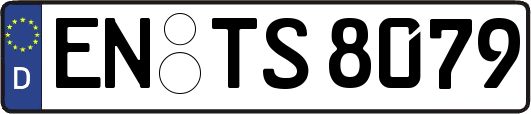 EN-TS8079